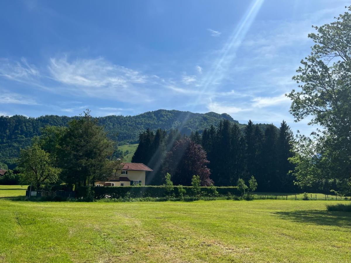 Villa Am Bach 安特沃森 外观 照片